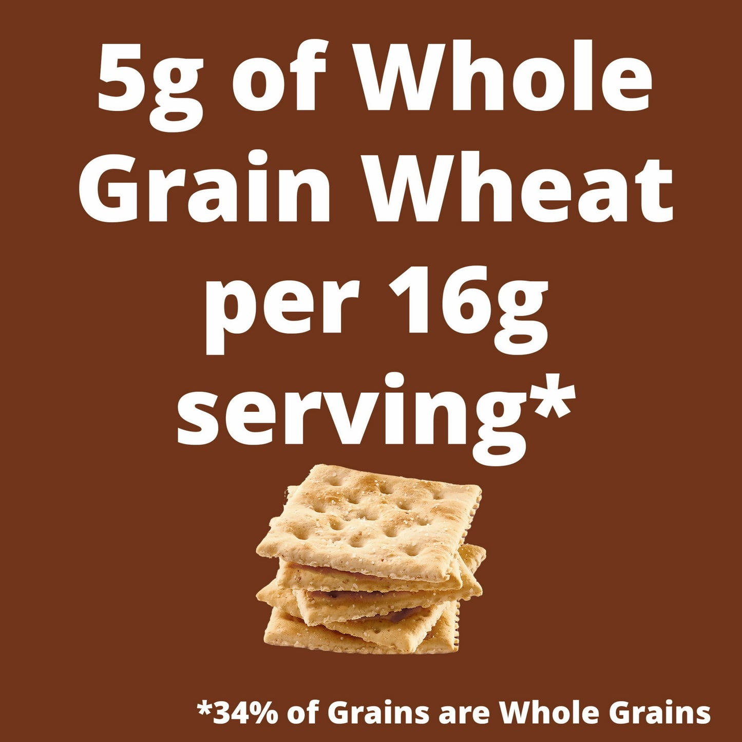 Premium Saltine Crackers, with Whole Grain Wheat, Lunch Snacks, 1.06 lb (Pack of 4)