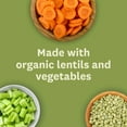 Amy's Organic Lentil Soup Light Sodium 14.5 oz, Pack of 2