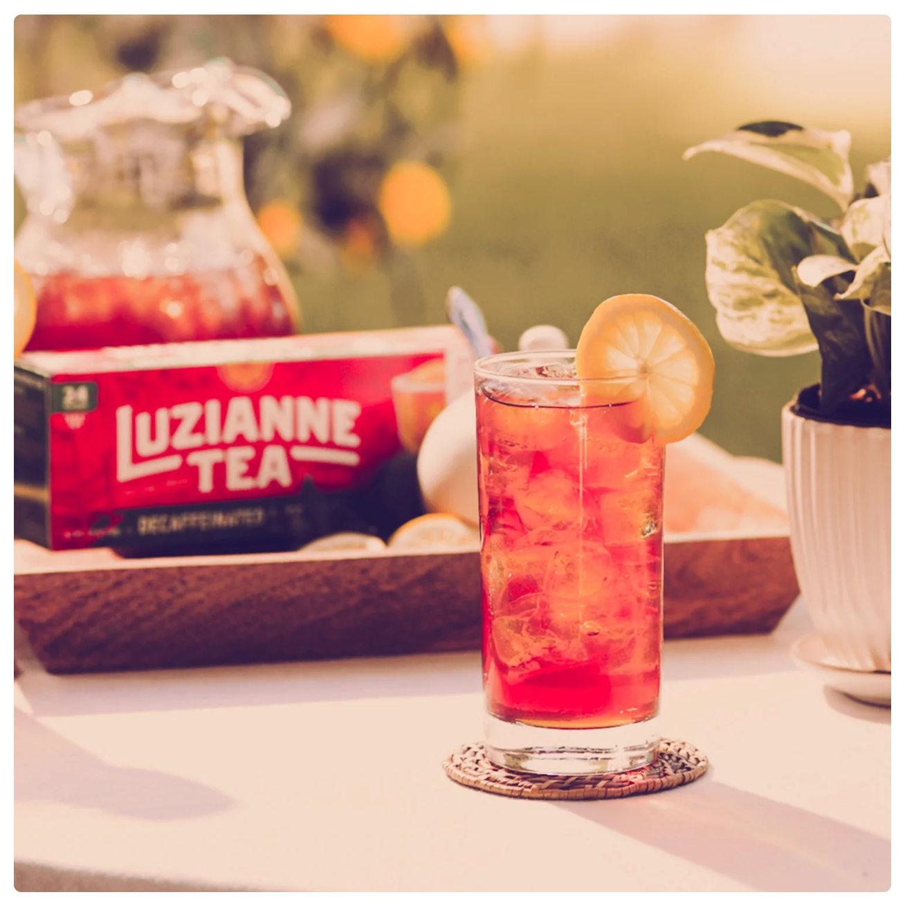 Luzianne Decaffeinated Iced Tea Bags 24 ct. Box (Pack of 2)