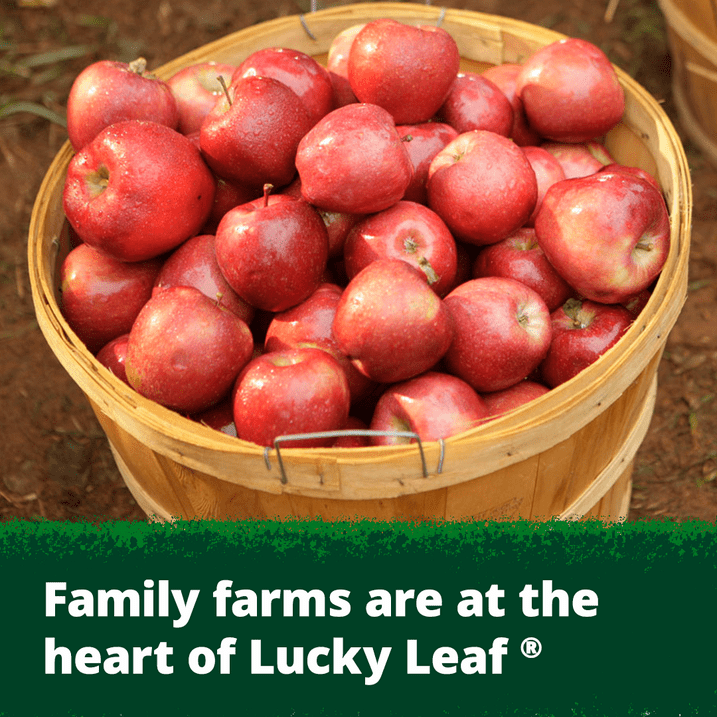 Lucky Leaf Organic Fruit Filling Apple, 21.0 OZ, Pack of 2