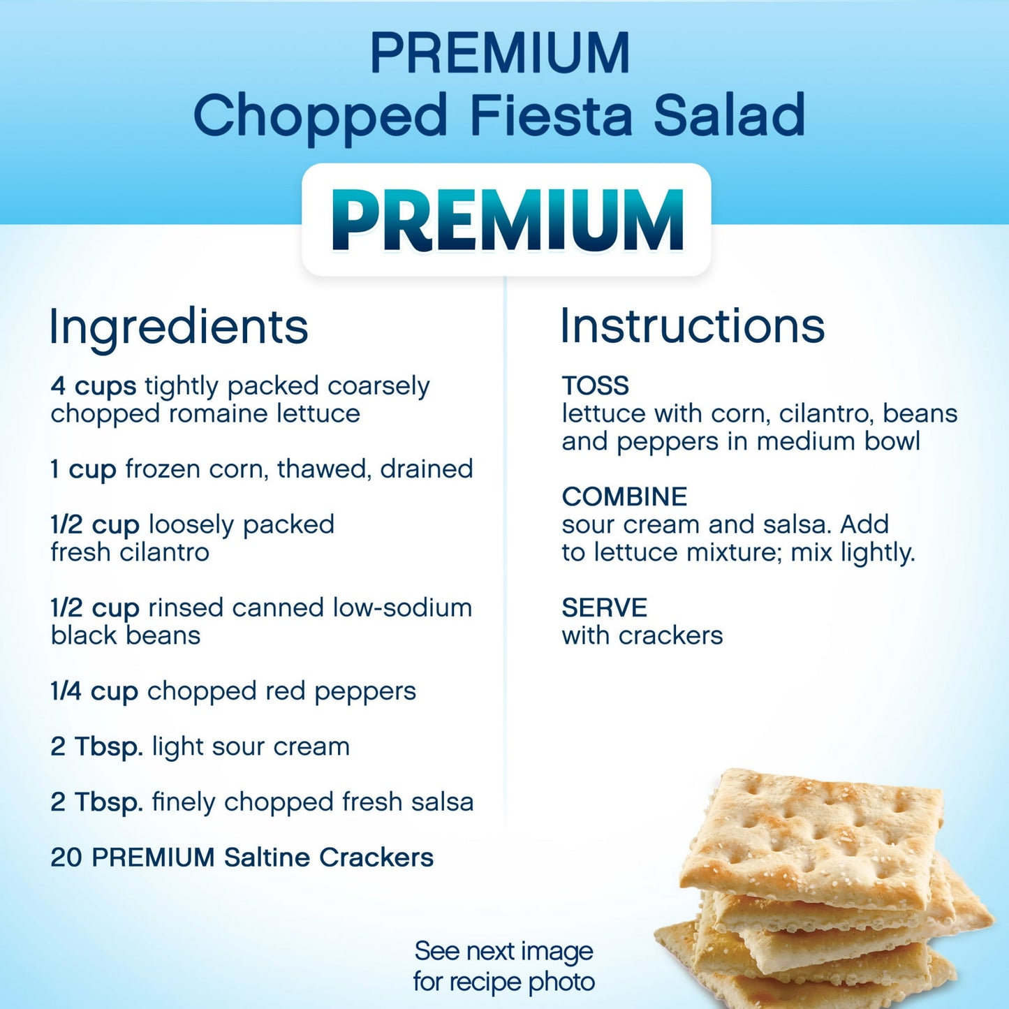Premium Saltine Crackers, with Whole Grain Wheat, Lunch Snacks, 1.06 lb (Pack of 4)