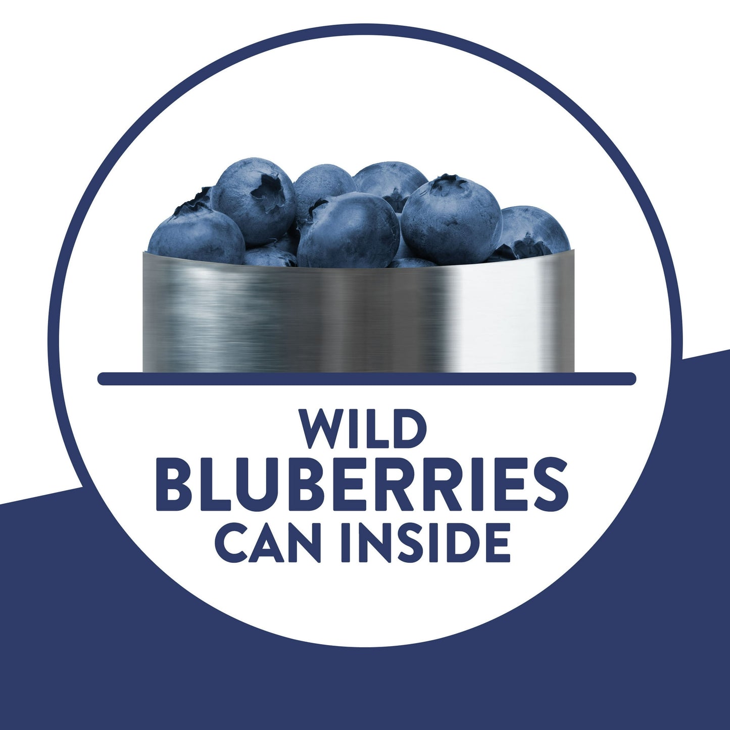 Krusteaz Wild Blueberry Muffin Mix, Blueberry Muffins Made With Real Blueberries, 17.1 oz Box ( Pack of 4)