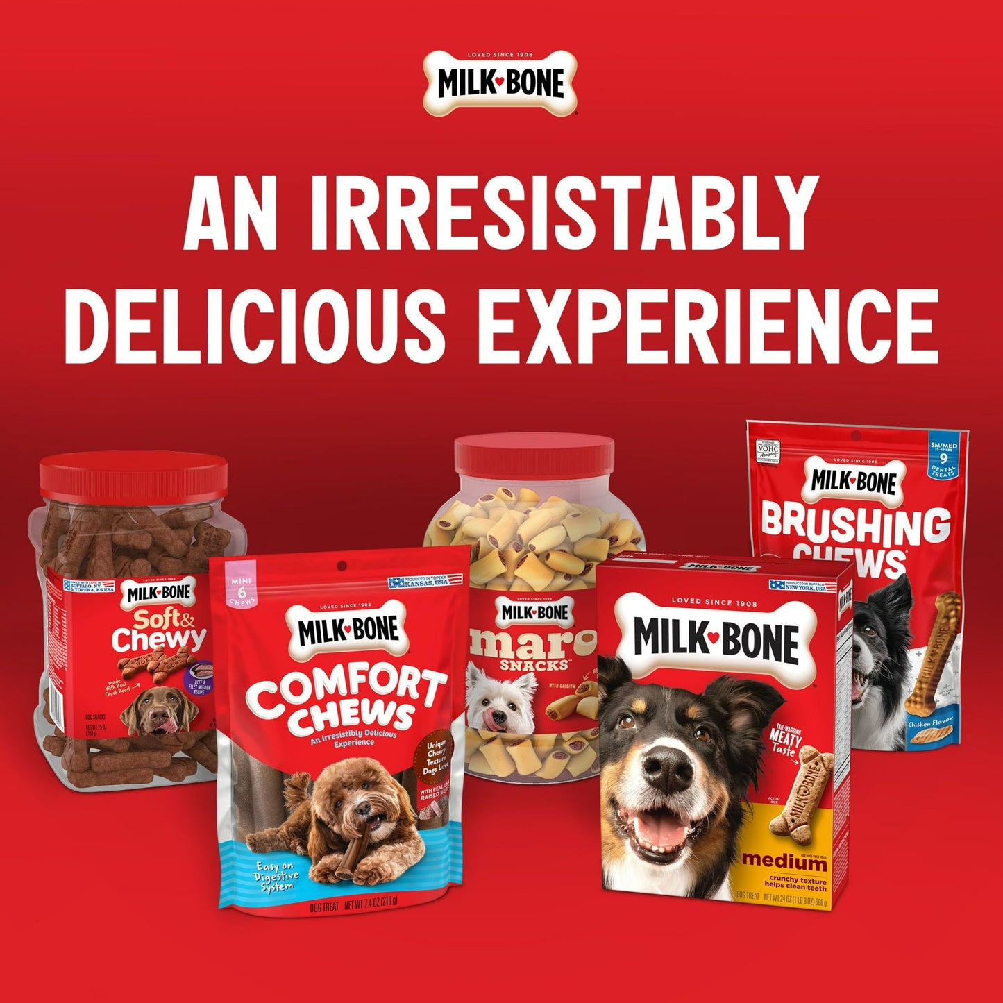 Milk Bone Flavor Snacks Mini Dog Biscuits, Flavored Crunchy Dog Treats, 15 ozMilk Bone Flavor Snacks Mini Dog Biscuits, Flavored Crunchy Dog Treats, 15 oz, Pack of 4