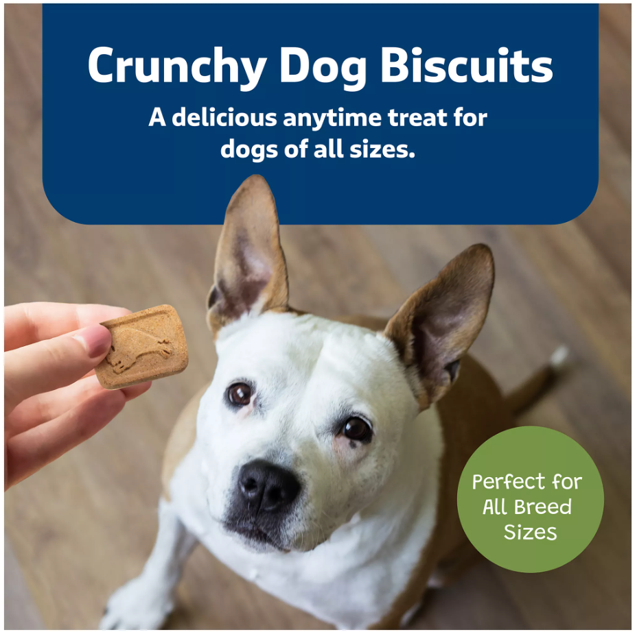 Blue Buffalo Health Bars Crunchy Adult Dog Treats, 16 oz - Apple & Yogurt (Pack of 2)