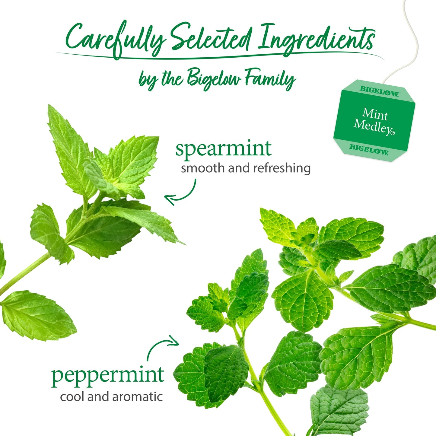 Bigelow Herbal Tea, Mint Medley, Tea Bags, 20 Ct
