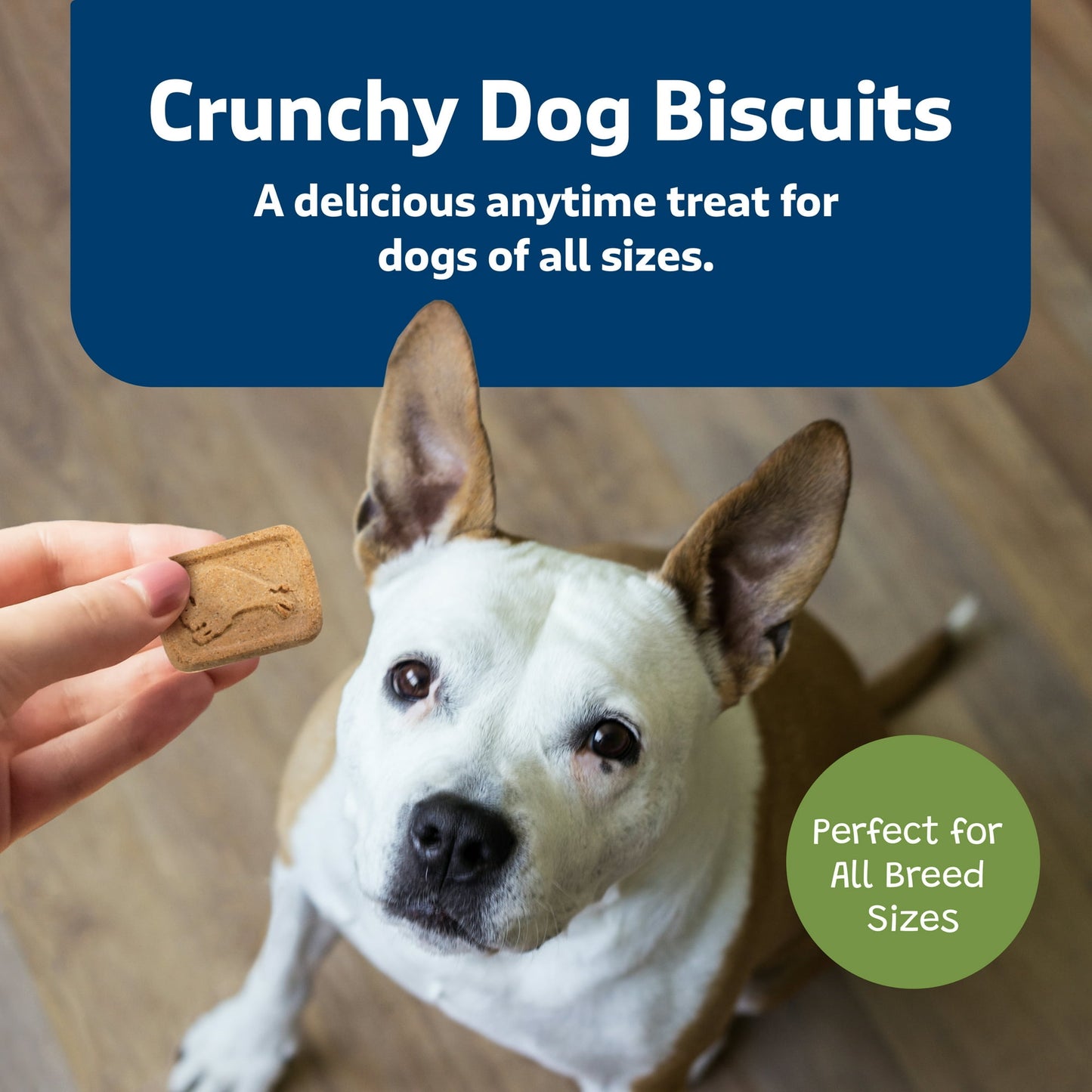 Blue Buffalo Health Bars Crunchy Dog Biscuits, Apples & Yogurt, 16-oz. Bag, Pack of 2