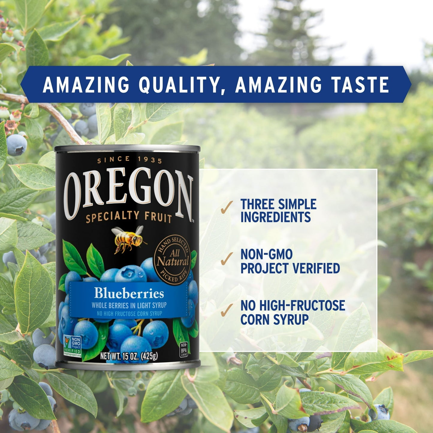 Oregon Fruit Canned Blueberries in Light Syrup, 15 oz Can